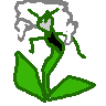 florges-white.png