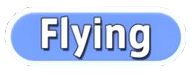 Flying Type.PNG