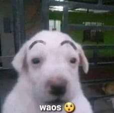FnB7NkFXwAAXHFo.jpg