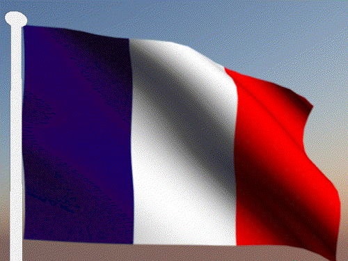 french flag.gif