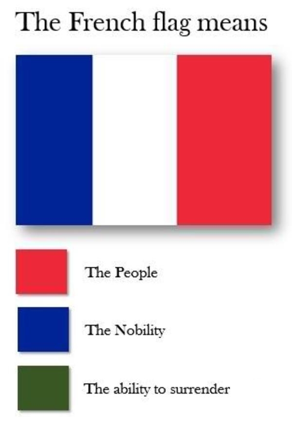 french flag.jpg