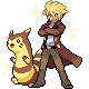 Furret Av.png