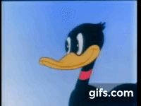 gif (1).gif