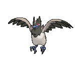 gif.gif