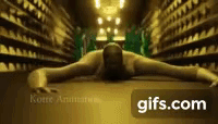 gif.gif
