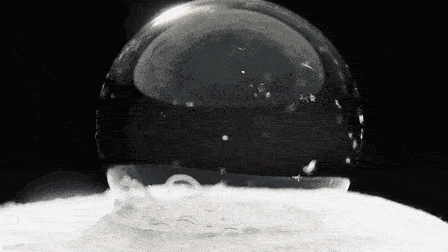 giphy (1).gif