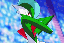 giphy (9).gif
