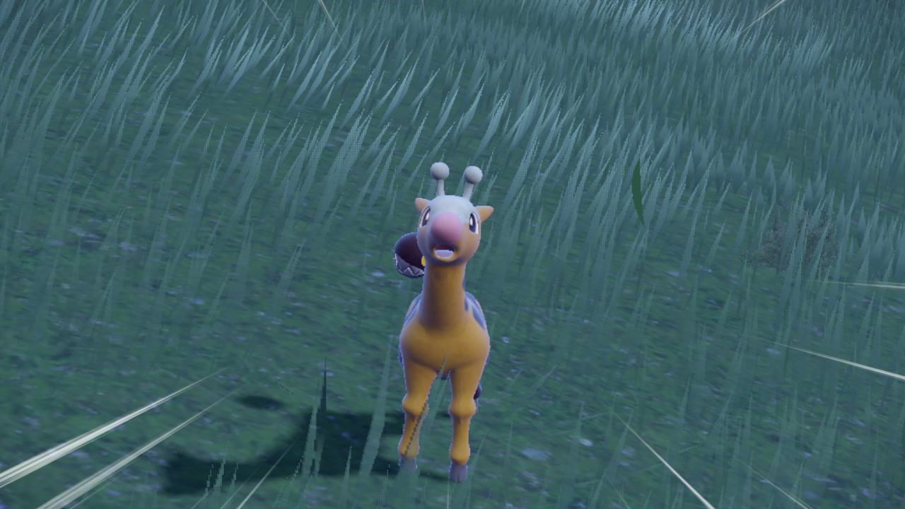 Giraffe.jpg