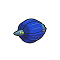 Glimmora.png