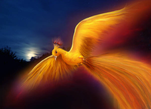 golden_phoenix_by_jennlaa_d35irtj-375w-2x.jpg