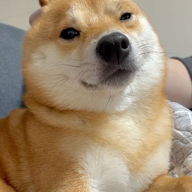 goof.jpg
