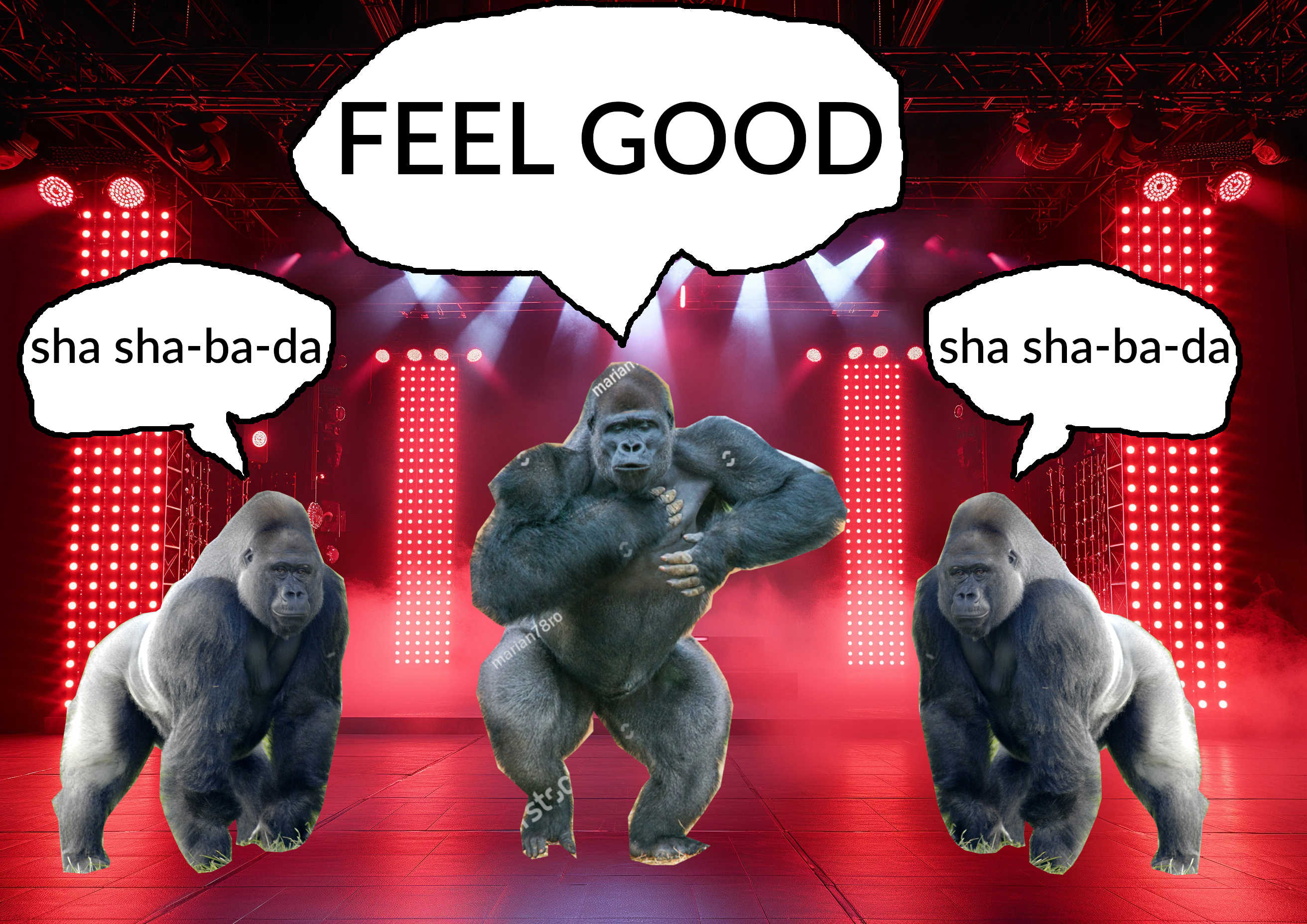 gorillaband.jpg