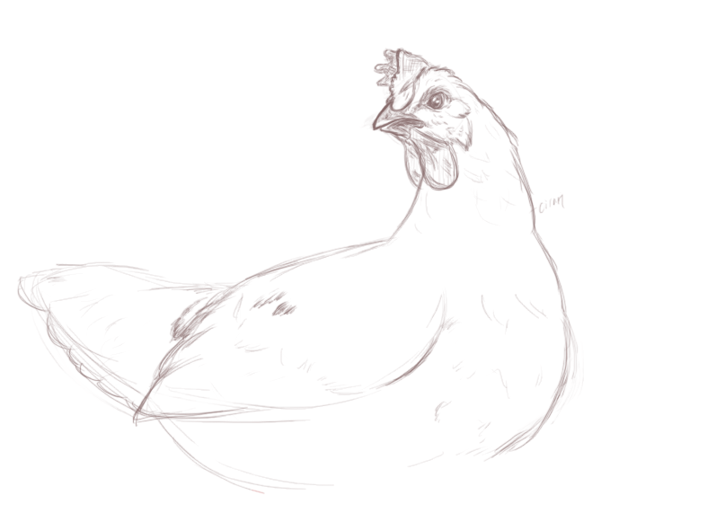 GothChicken.png