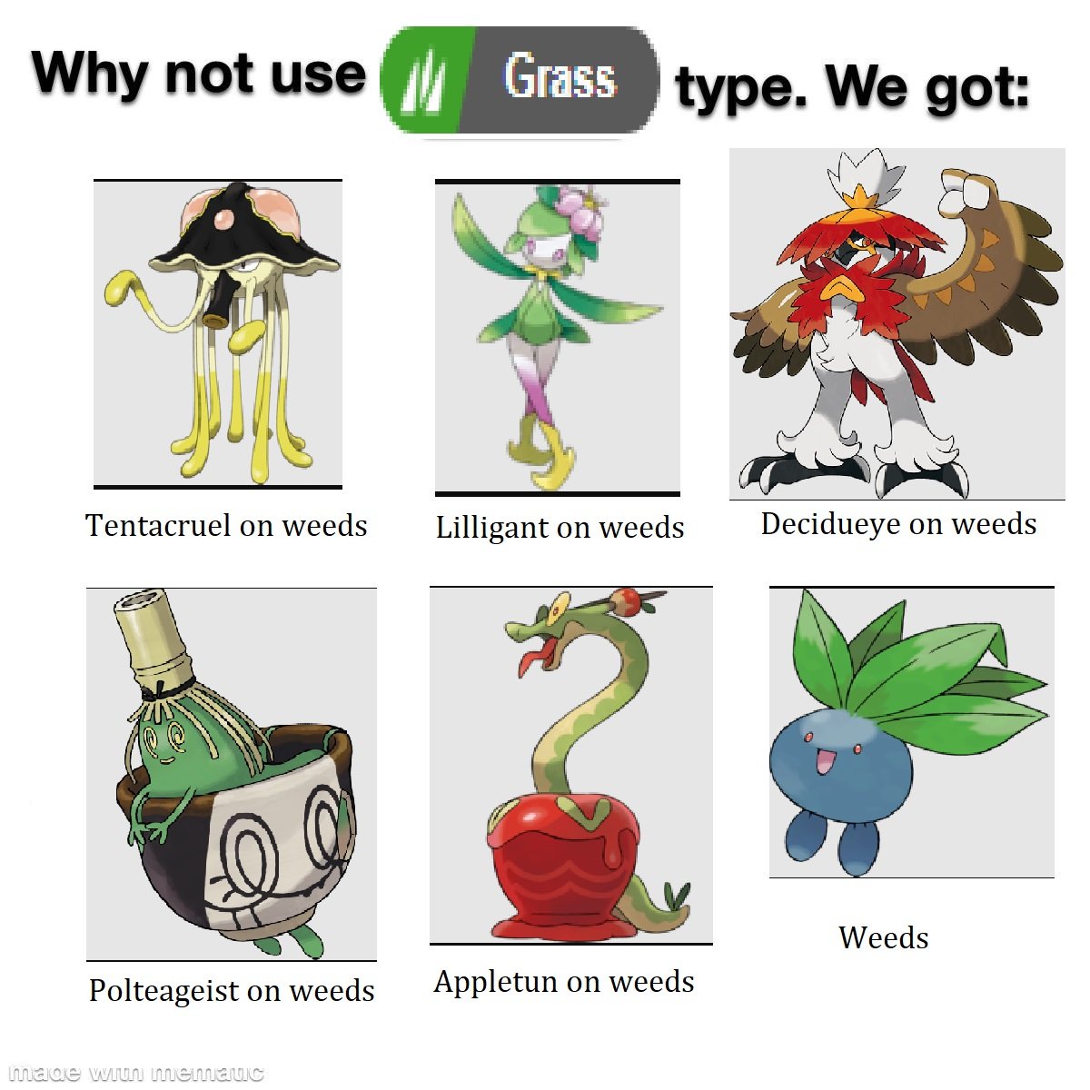 GRA_00_3_Why Not Grass.jpg