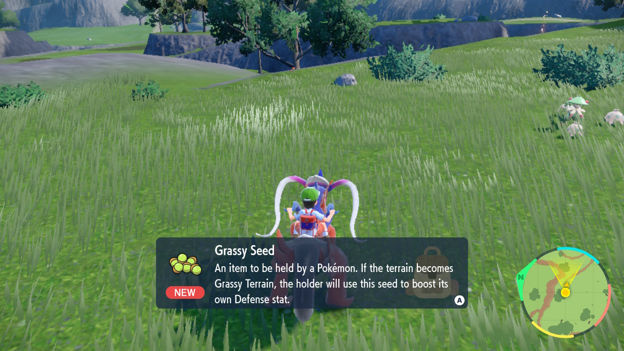 Grassy Seed.jpg