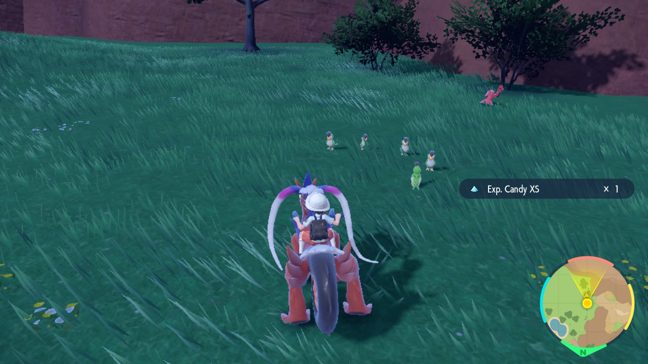 Green Birds.jpg