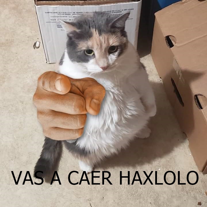 GTr1Bk2WMAACybI.jpg