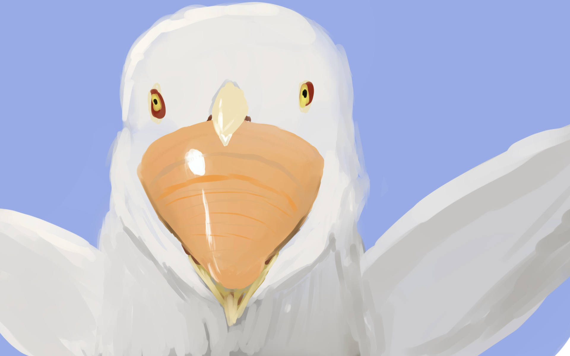 gull.png