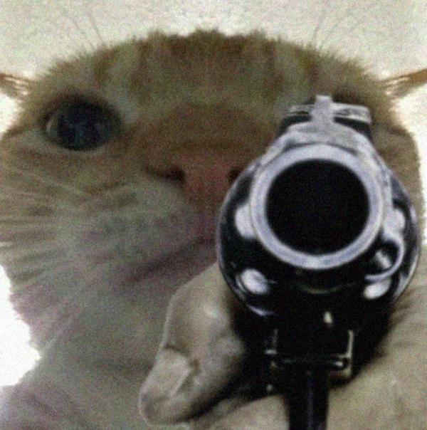 gusic18.jpg
