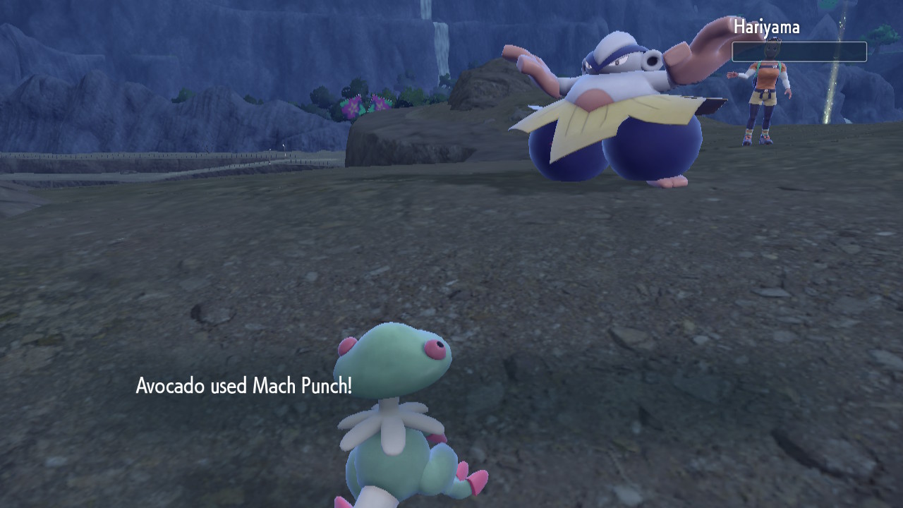 Hariyama_2.jpg