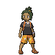 hau-stance.png