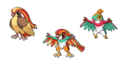Hawlucha Pidgeot.png