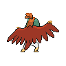 hawluchaback.png
