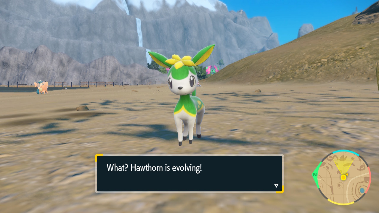 Hawthorn Evolves.jpg