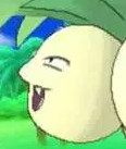 head.PNG