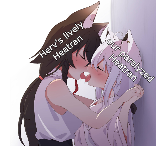 herv tran.png