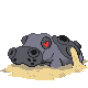 hippowdon-f.png