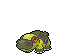 hippowdon.png