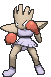 hitmonchan-gif.109343