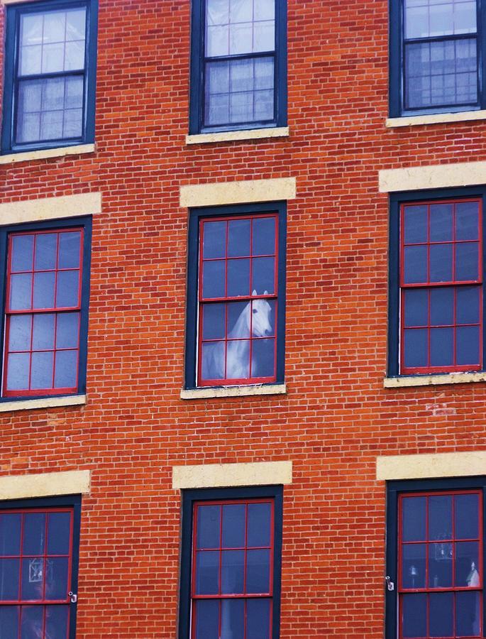 horse-in-an-upstairs-window-anna-villarreal-garbis (1).jpg