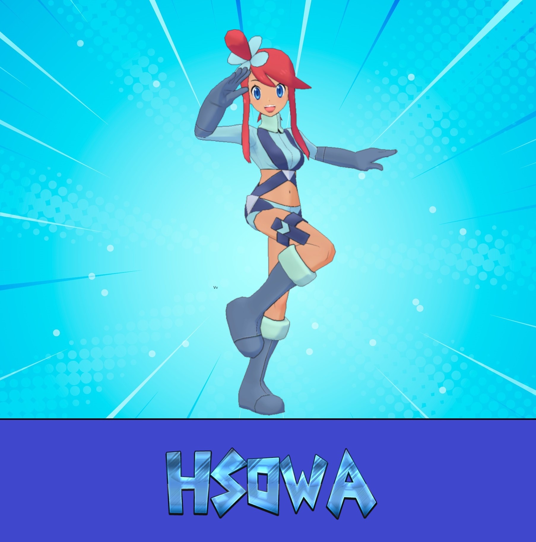 hsowa.jpg