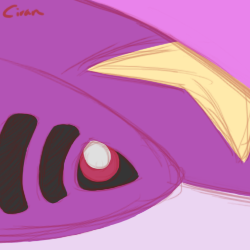 Huggable_Aug2021_sharpedo.png