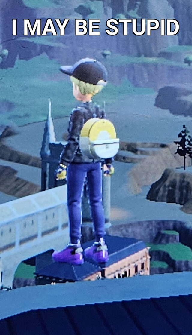 I may be stupid.png