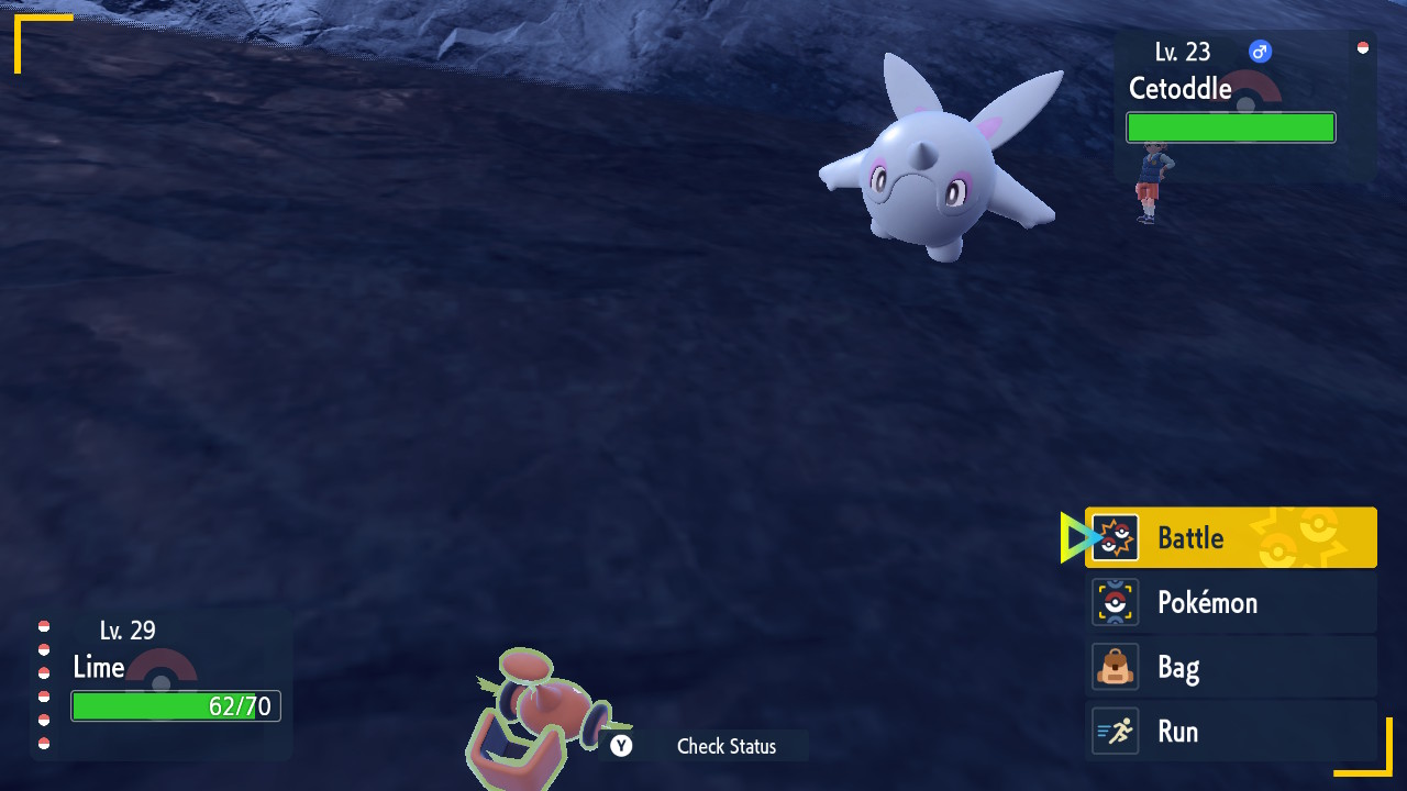 Ice Type.jpg