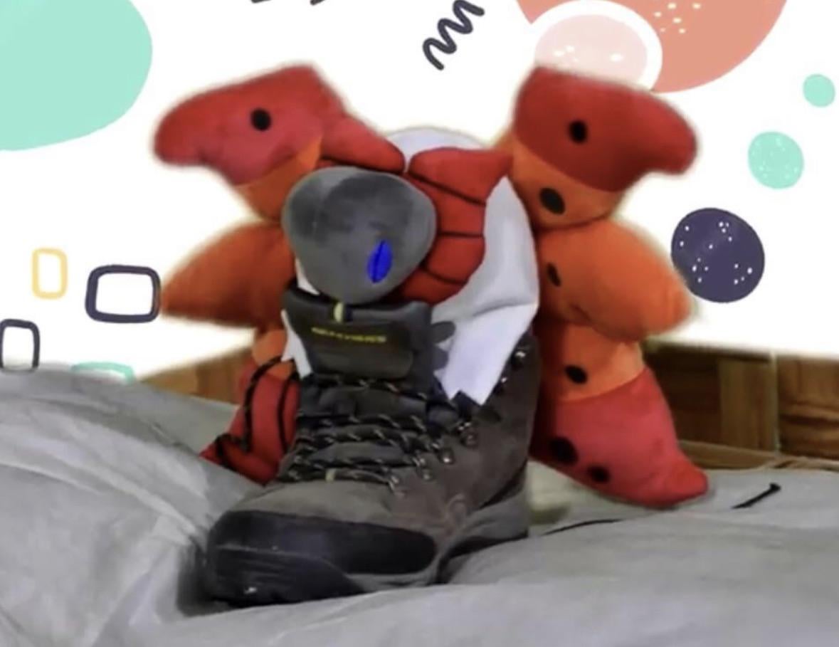 if-you-dont-give-your-volcarona-a-pair-of-boots-ill-hit-you-v0-rp5j9y4dn78b1.jpeg