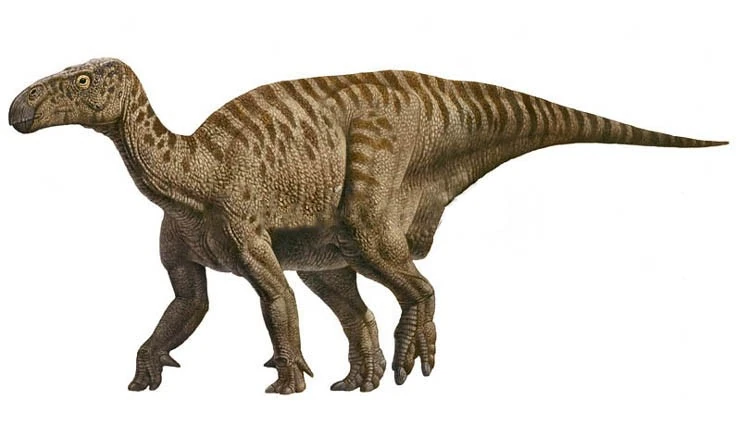 Iguanodon.png