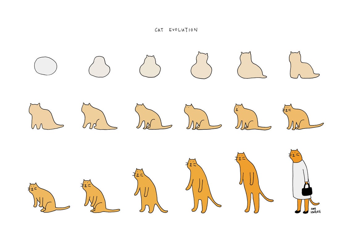 Cat evolution discount