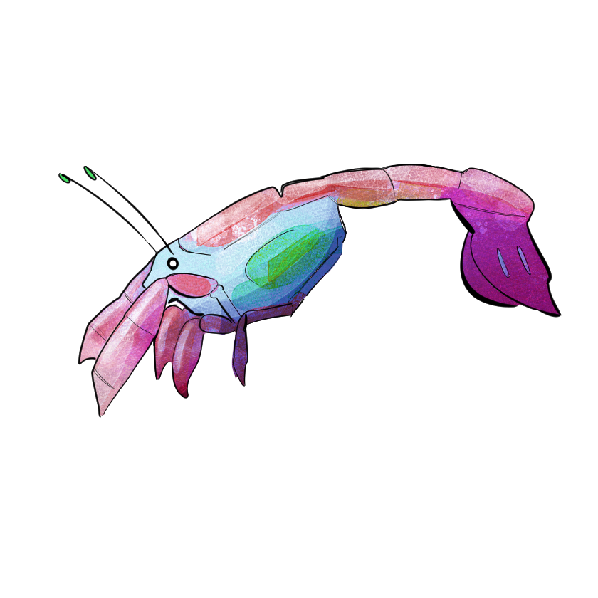 Illustration350 (1).png