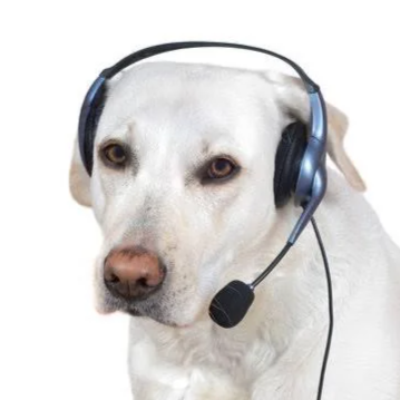 image-98.png