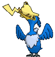 image.gif