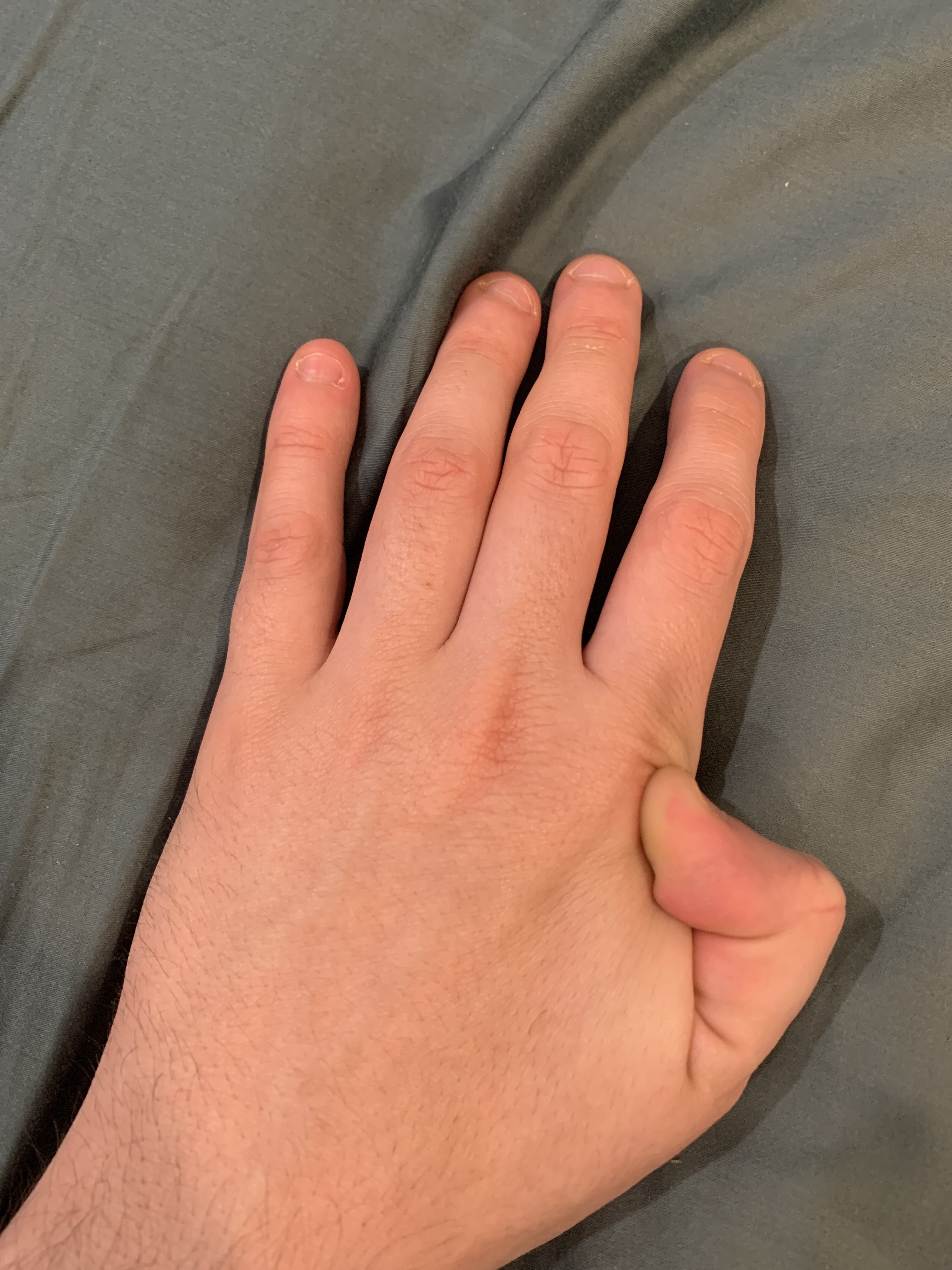 image.jpg