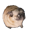 image0-1.gif