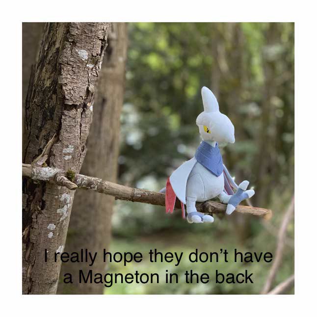 image1.jpg