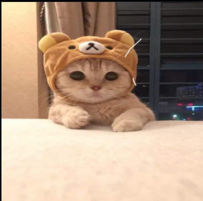 imageawavavw.png
