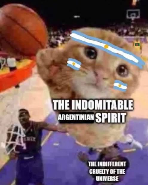 images (2) (23).jpeg