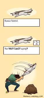 images (4).jpeg